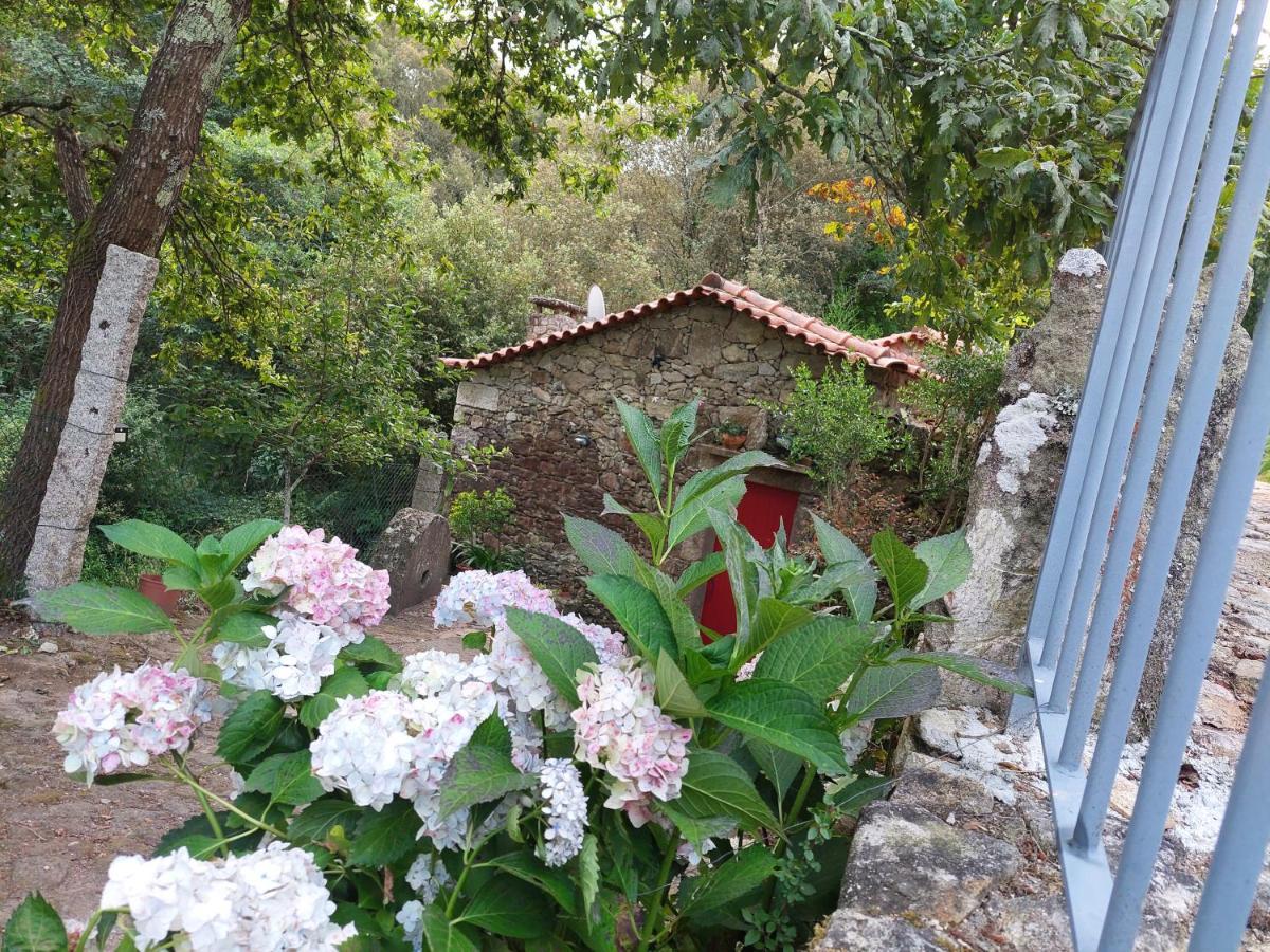 Moinho Do Formigal Apartment Valenca Ngoại thất bức ảnh